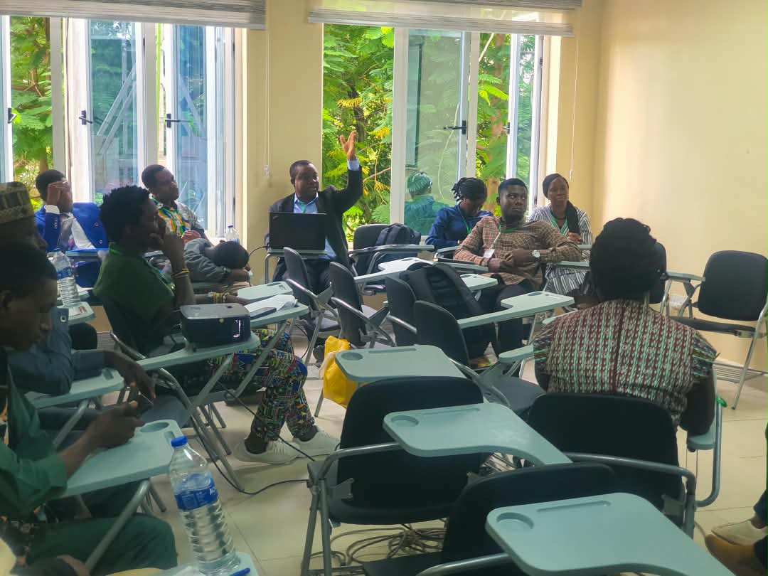 GeoMentor Africa participation pathway